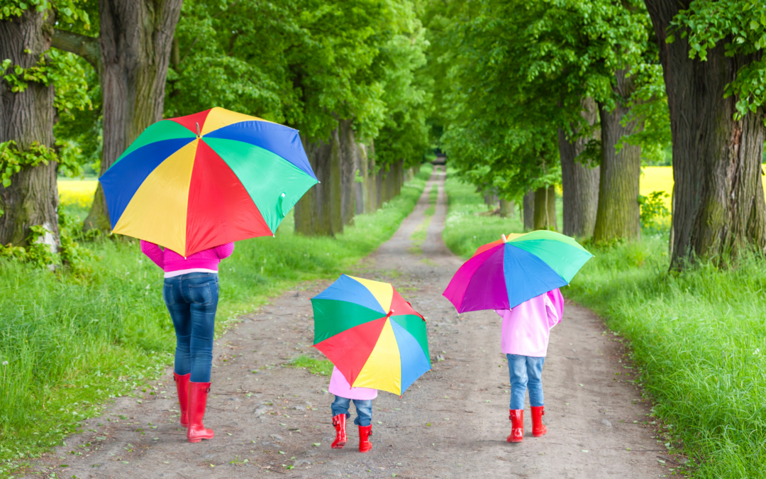Reasons Why Umbrella Coverage is Essential